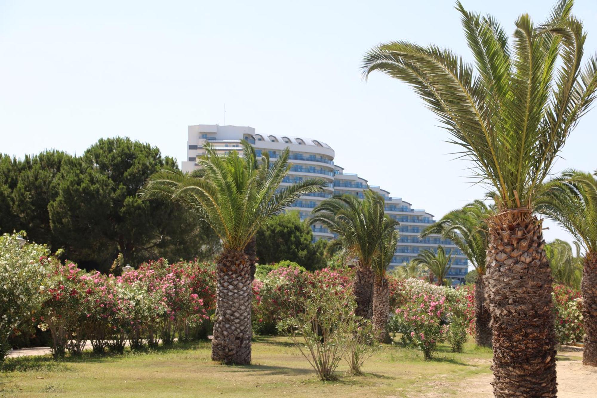 Venosa Beach Resort & Spa Дидим Екстериор снимка